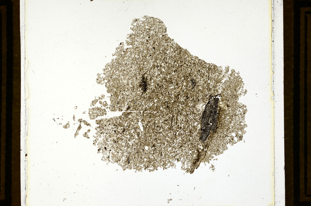 Plane Polarized, ED867