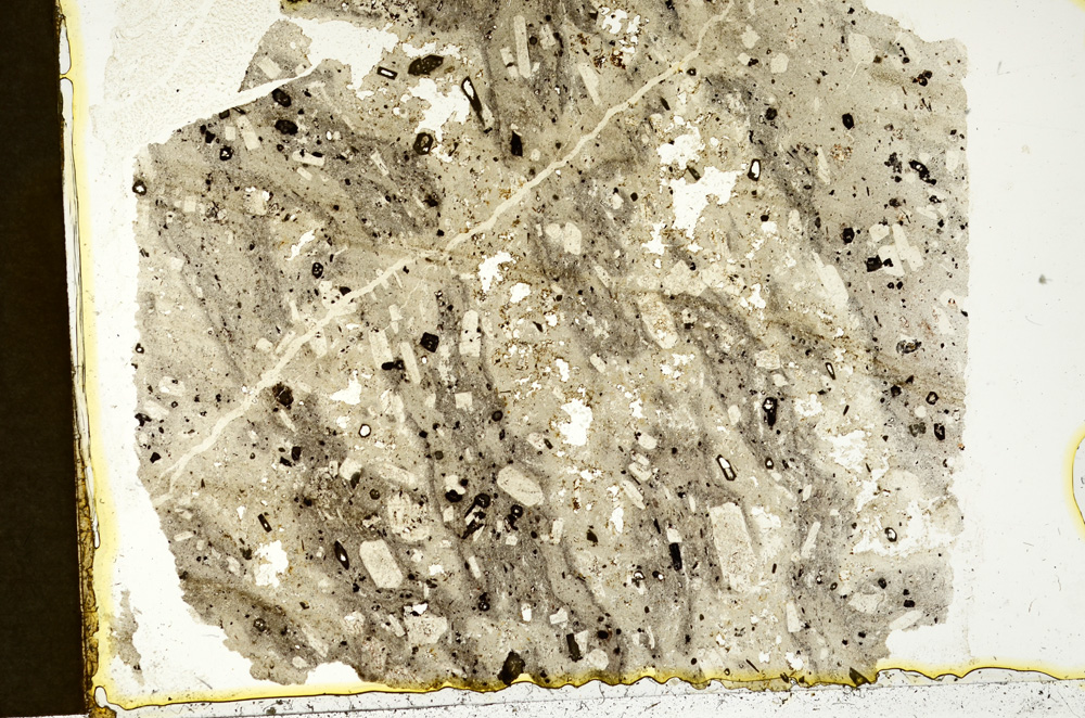 Plane Polarized, ED907