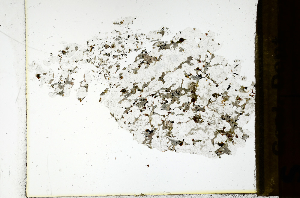 Plane Polarized, ED1030