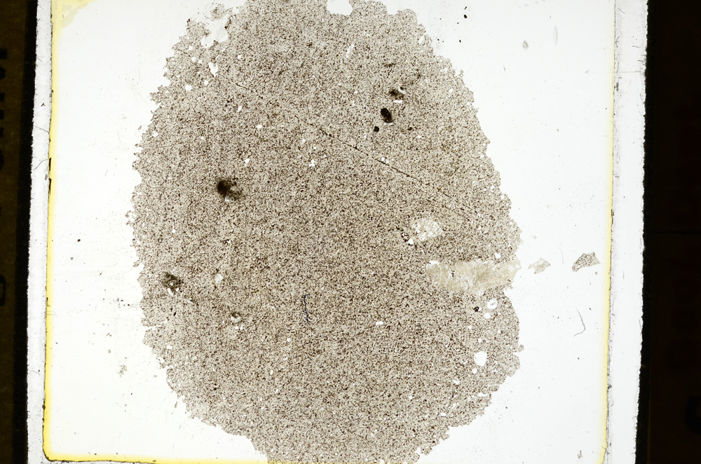 Plane Polarized, ED1037