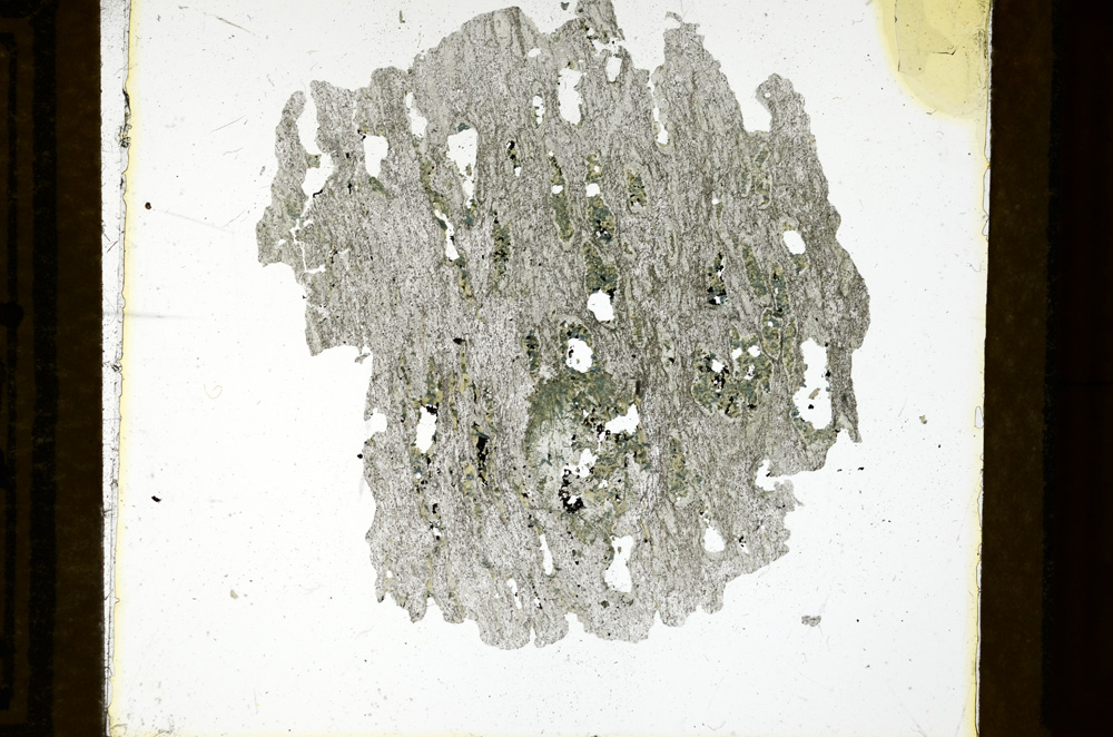 Plane Polarized, ED1080