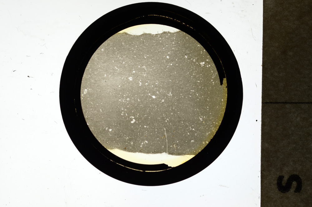 Plane Polarized, ED1095