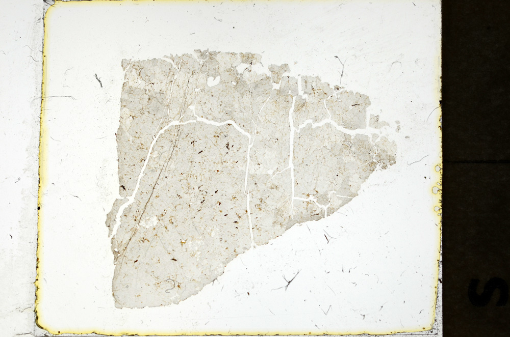 Plane Polarized, ED1106