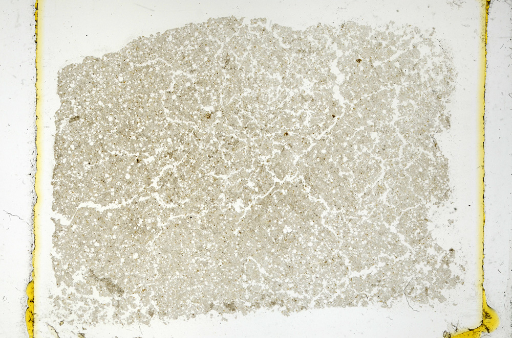 Plane Polarized, ED1125