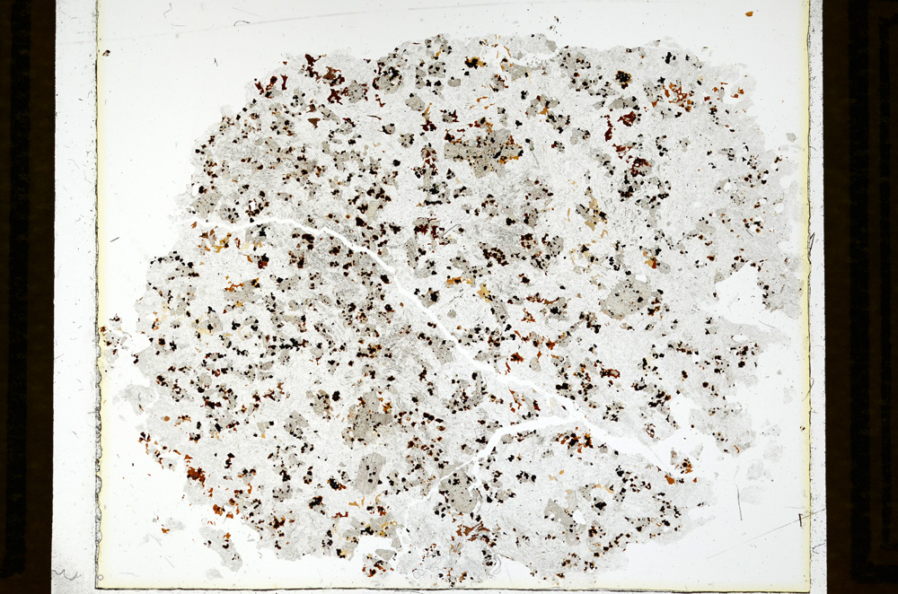 Plane Polarized, ED1159