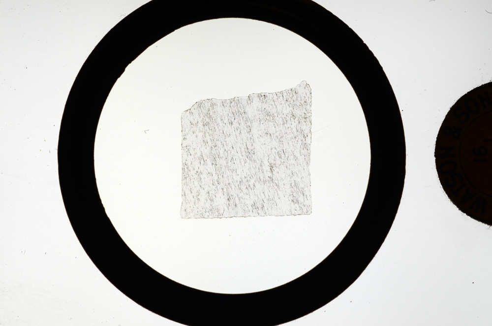 Plane Polarized, ED1190