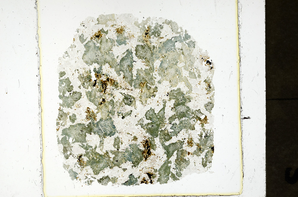 Plane Polarized, ED1196