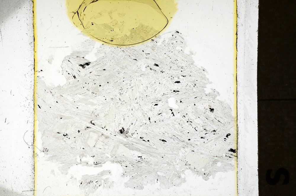 Plane Polarized, ED1246