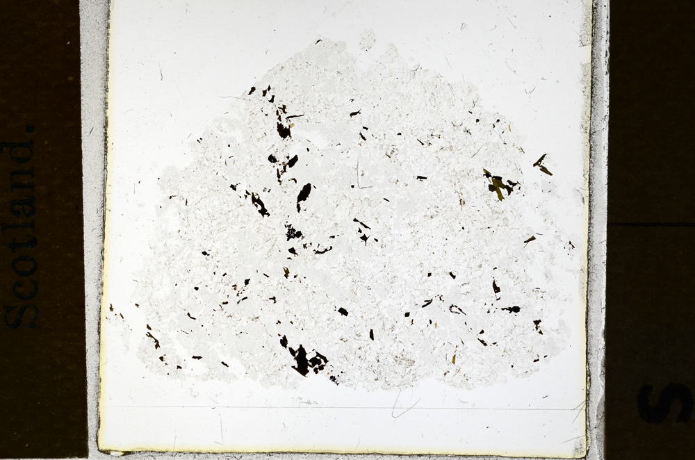 Plane Polarized, ED1296