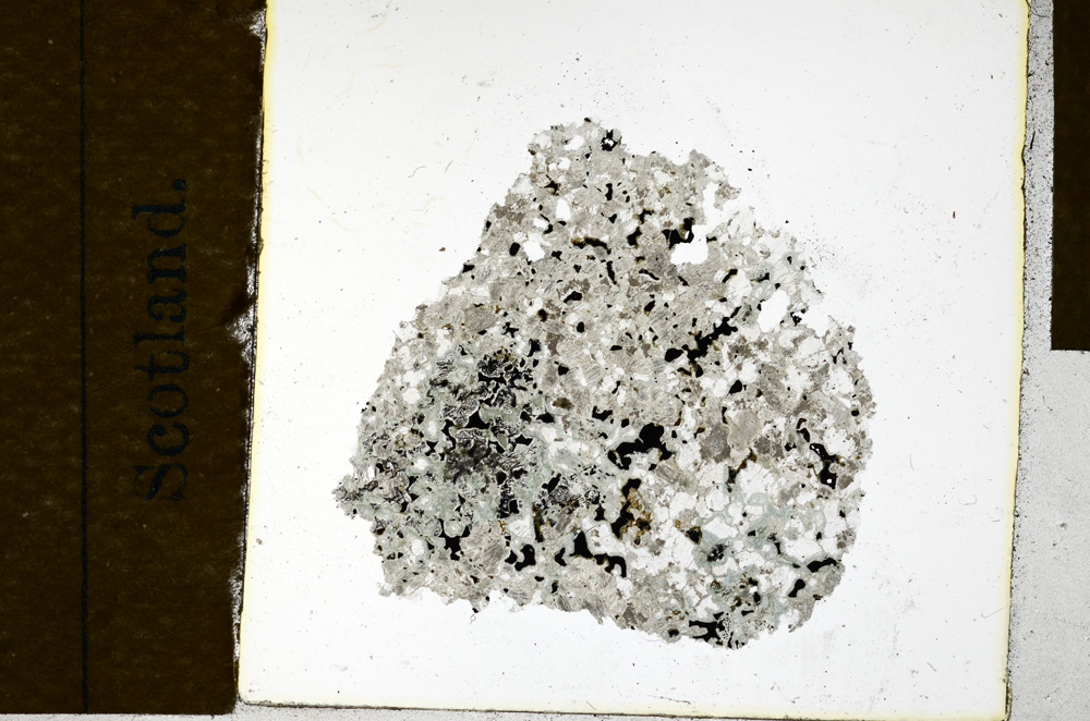 Plane Polarized, ED1303