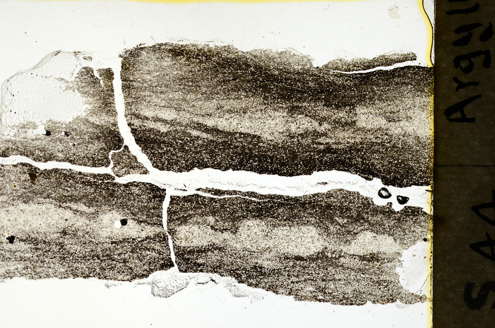 Plane Polarized, ED1321