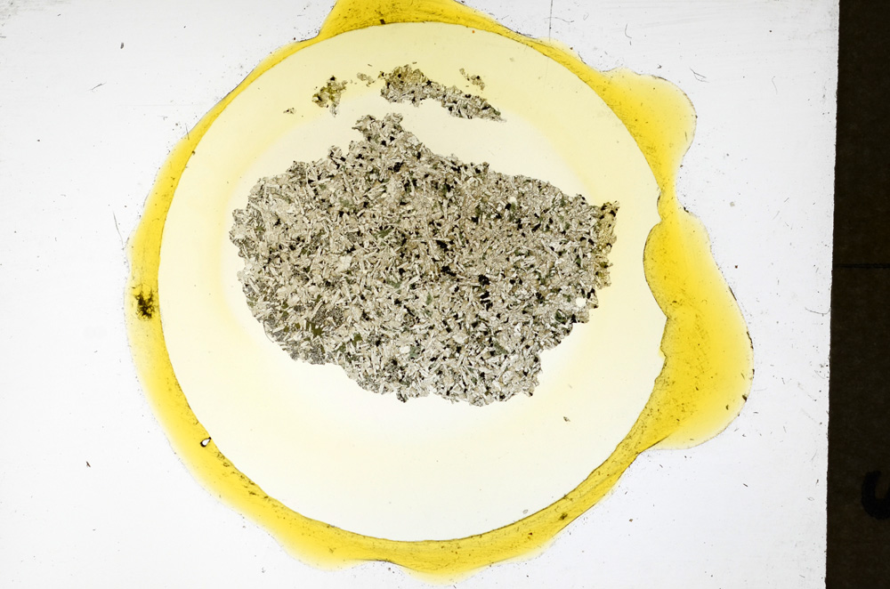 Plane Polarized, ED1339