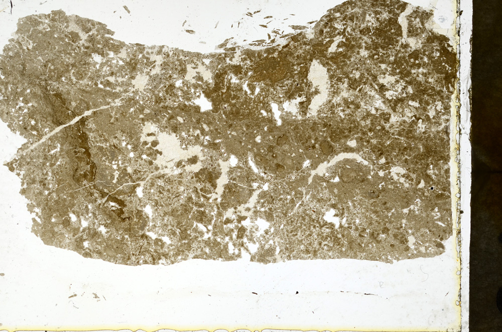 Plane Polarized, ED1388