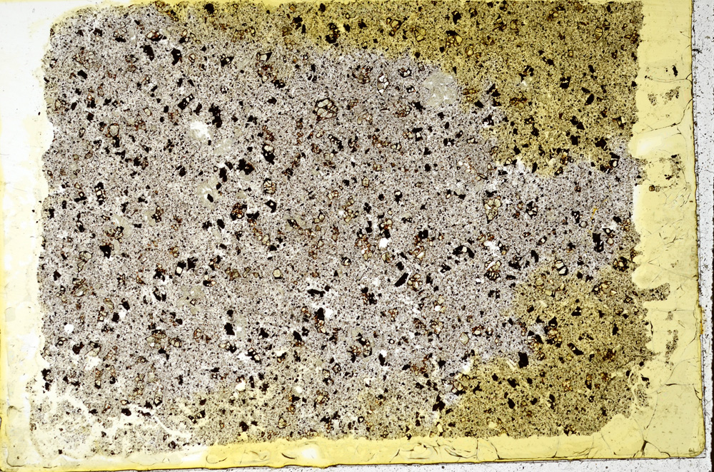 Plane Polarized, ED1417