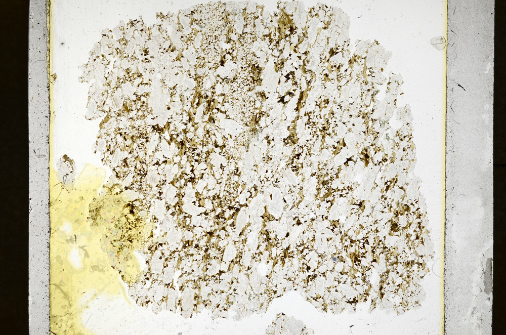 Plane Polarized, ED1437