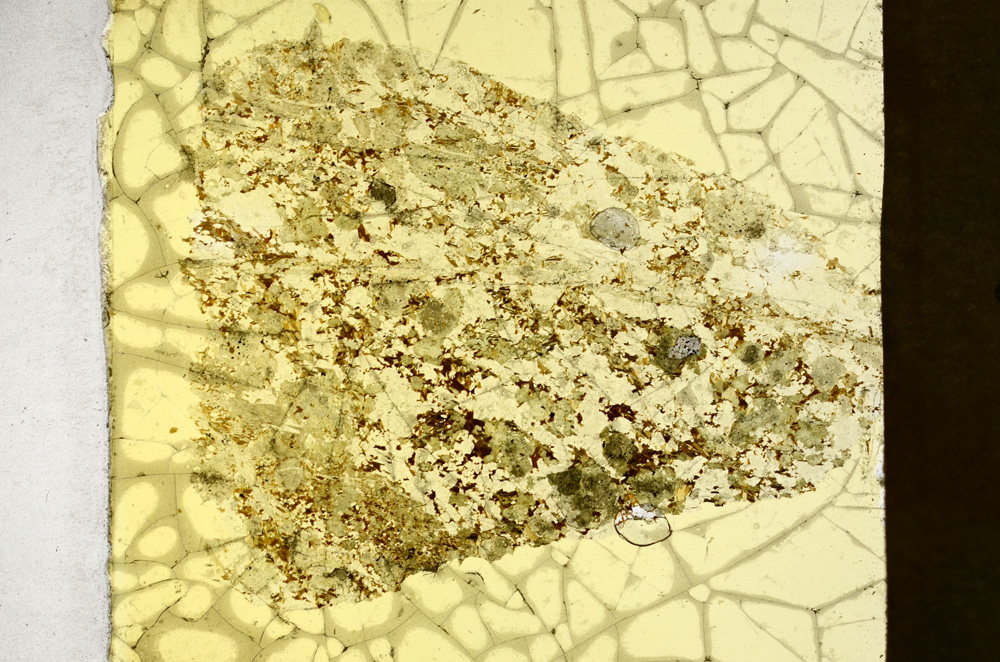 Plane Polarized, ED1442