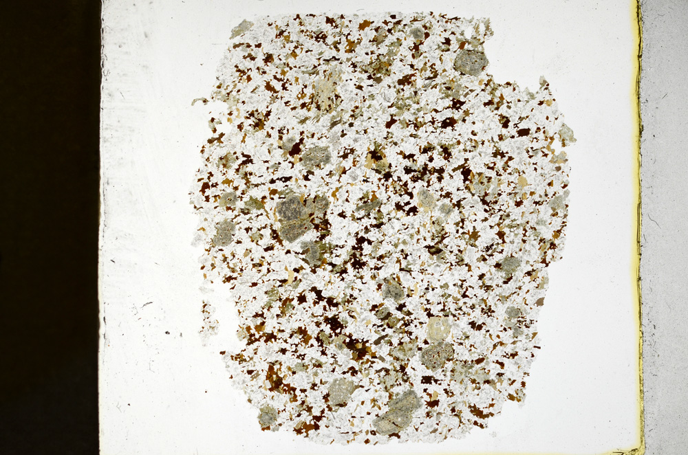 Plane Polarized, ED1447