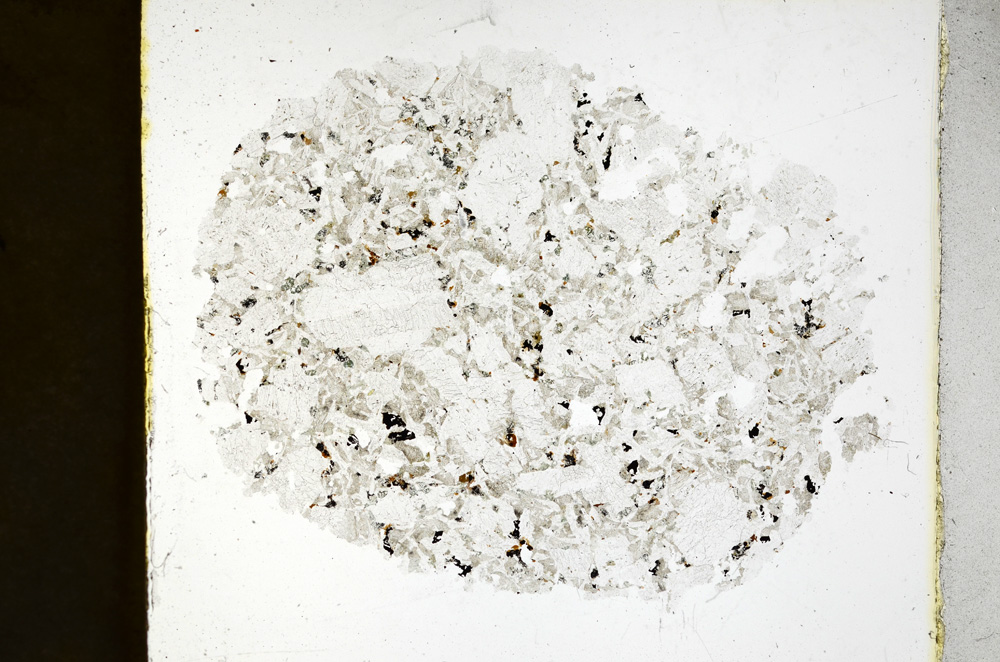 Plane Polarized, ED1450