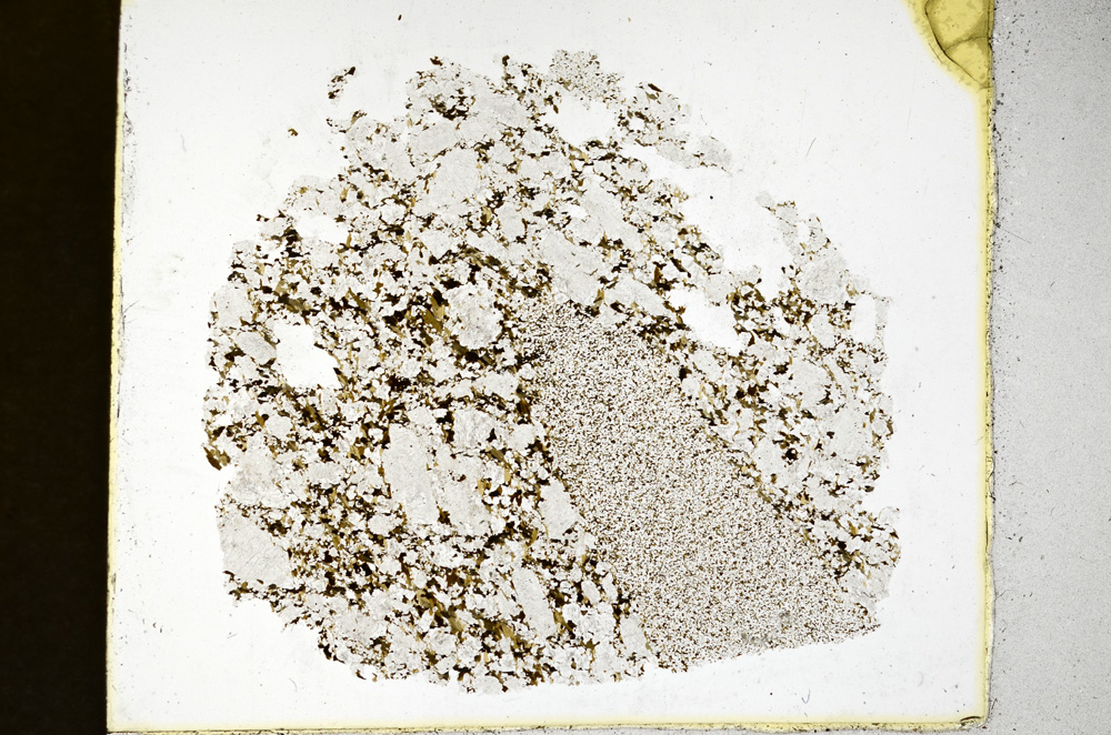 Plane Polarized, ED1452