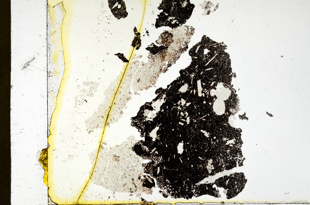 Plane Polarized, ED1464