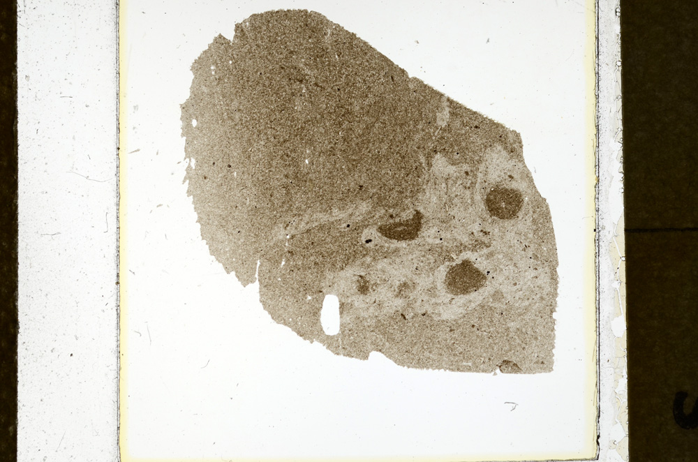 Plane Polarized, ED1483