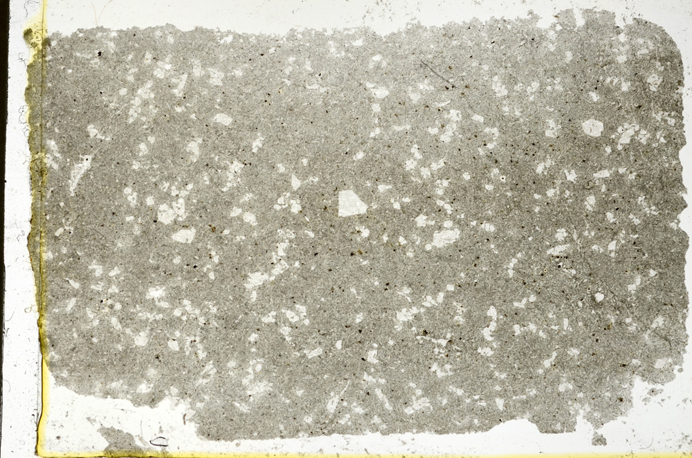 Plane Polarized, ED1554