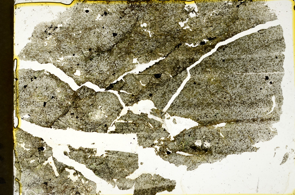 Plane Polarized, ED1559