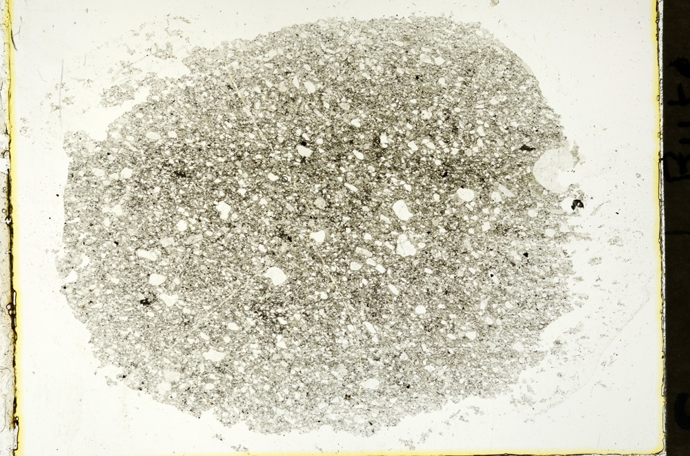 Plane Polarized, ED1565
