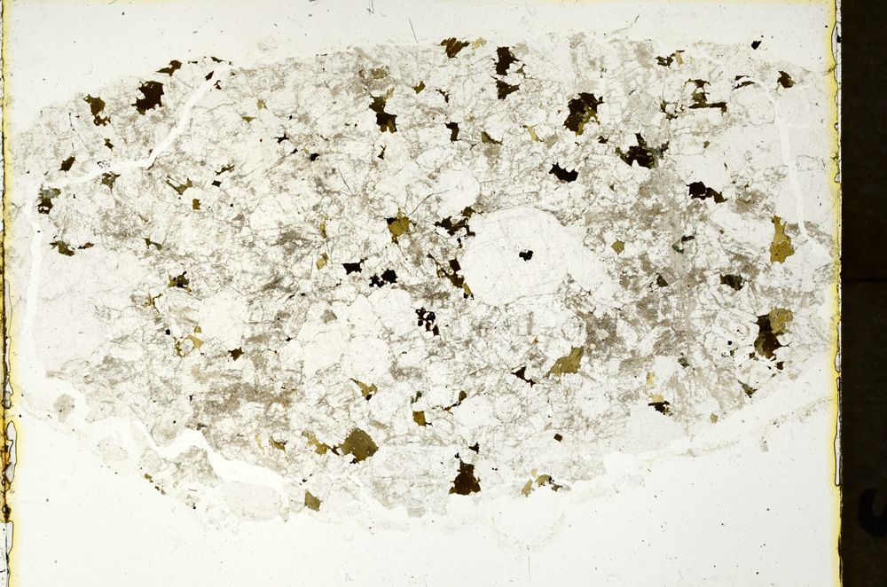 Plane Polarized, ED1574