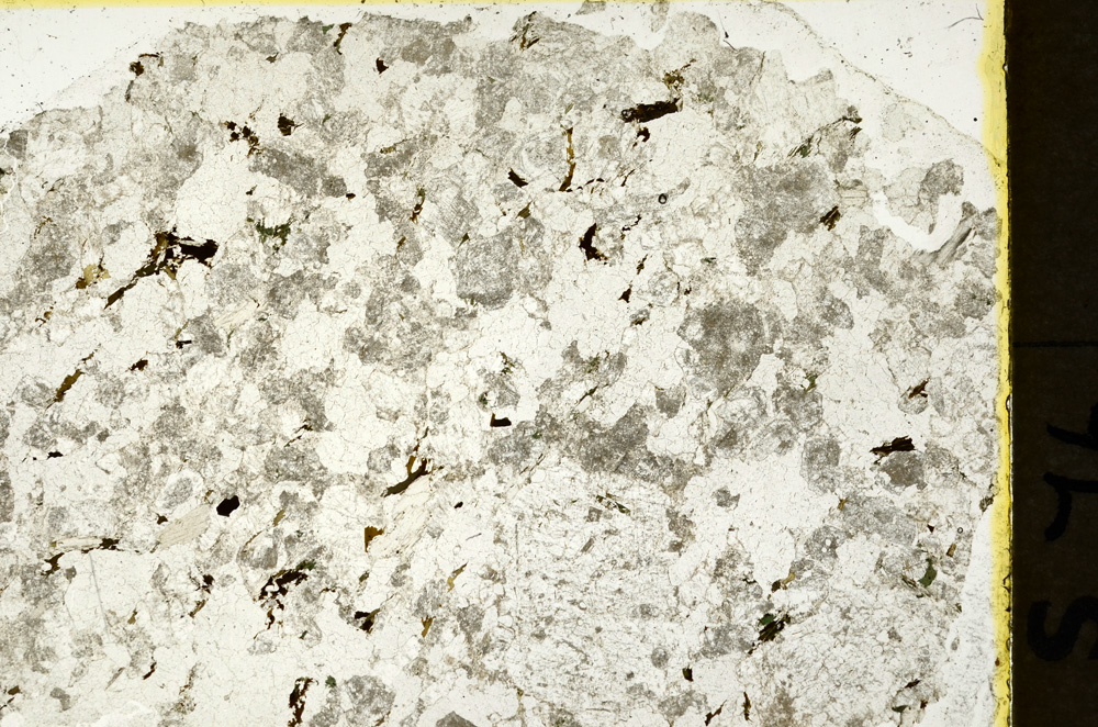 Plane Polarized, ED1577