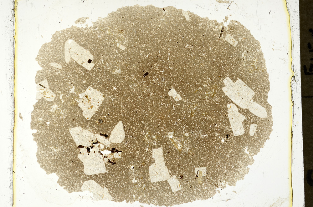 Plane Polarized, ED1587