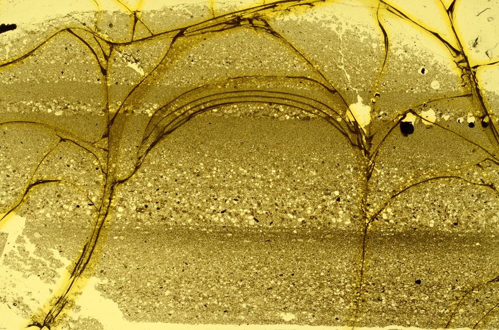 Plane Polarized, ED1593