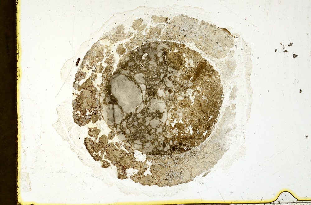 Plane Polarized, ED1596