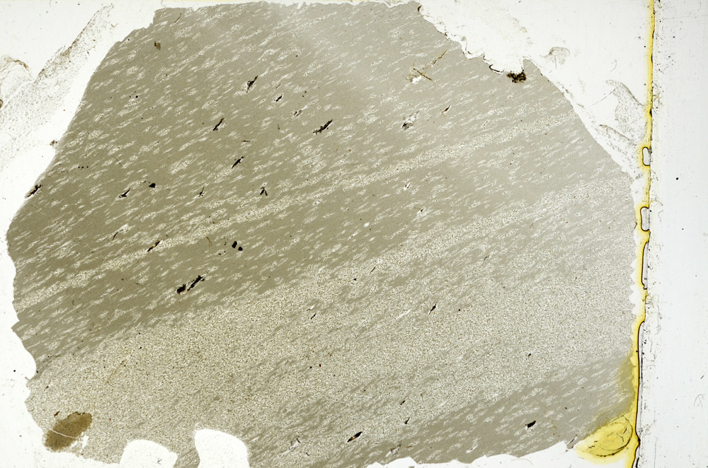 Plane Polarized, ED1626