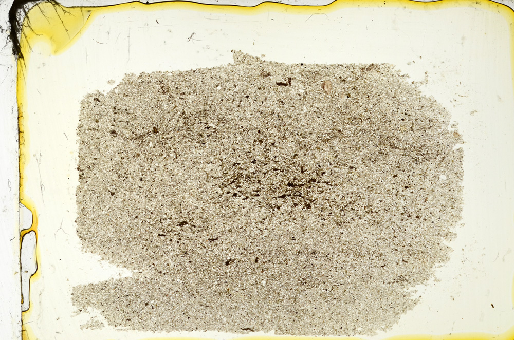 Plane Polarized, ED1637