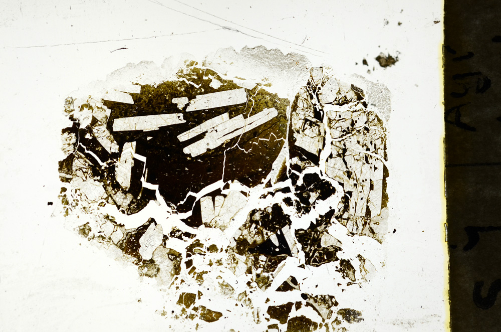 Plane Polarized, ED1651