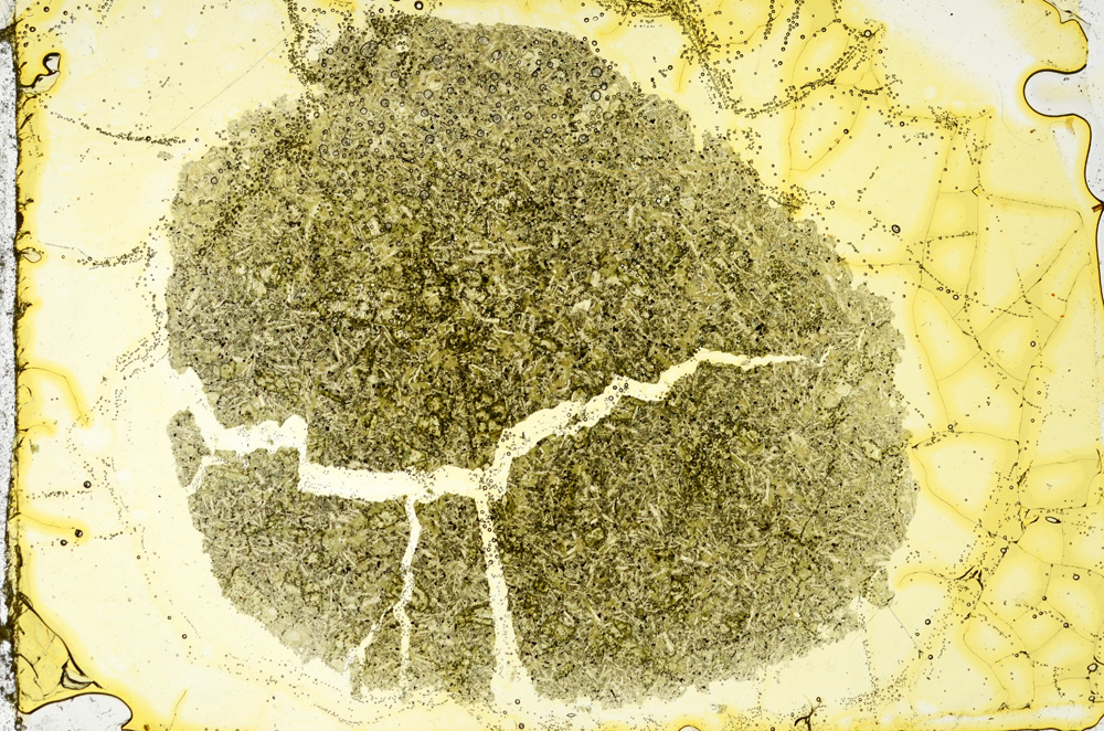 Plane Polarized, ED1673