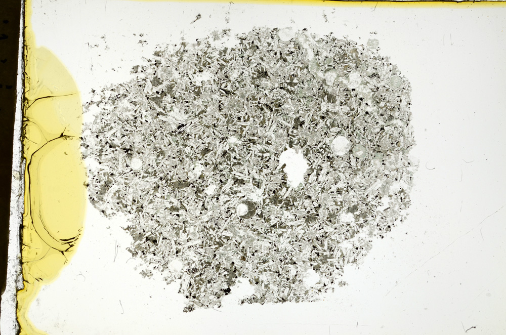 Plane Polarized, ED1686