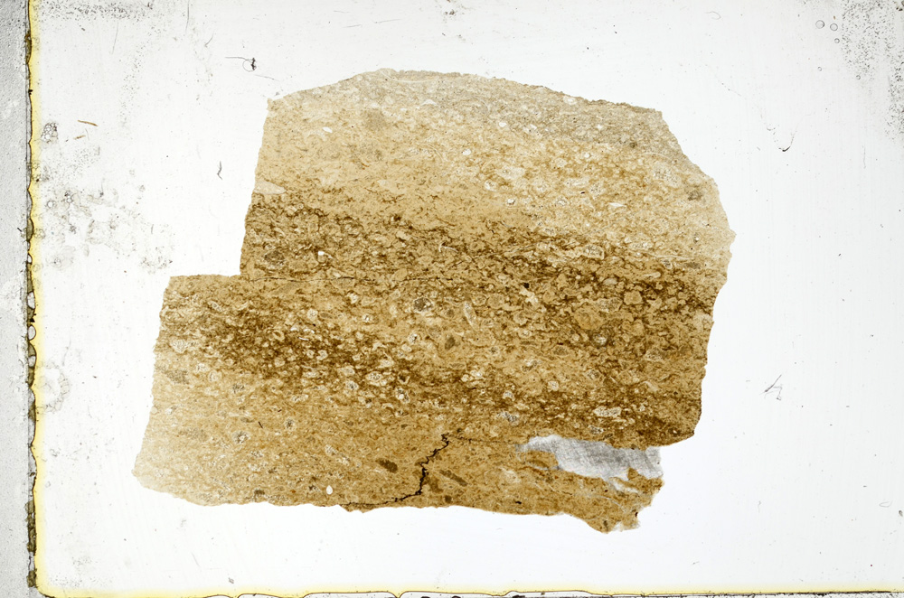 Plane Polarized, ED1764