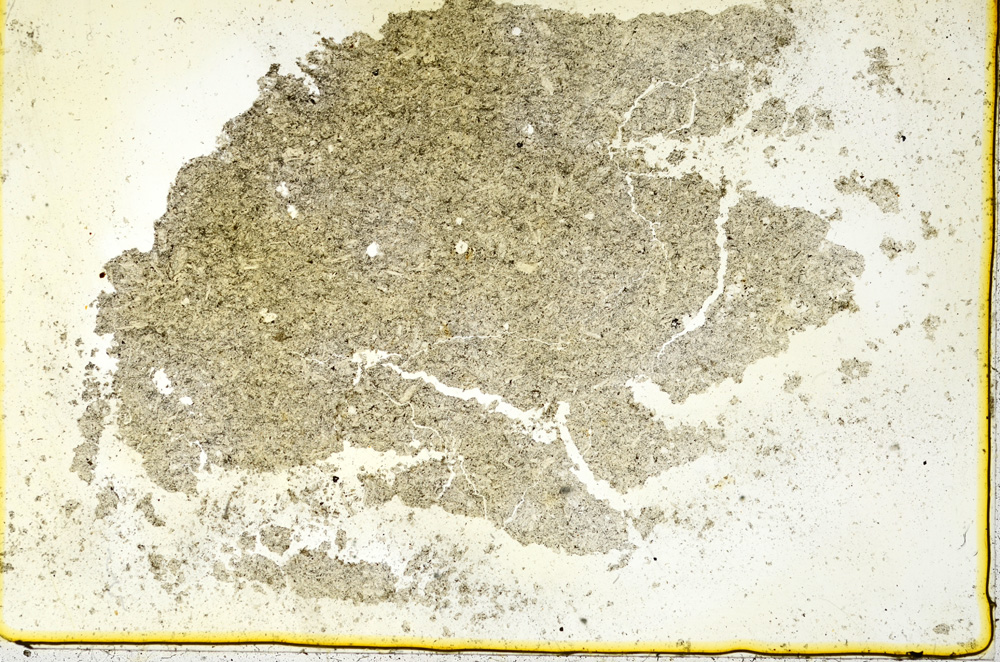 Plane Polarized, ED1779