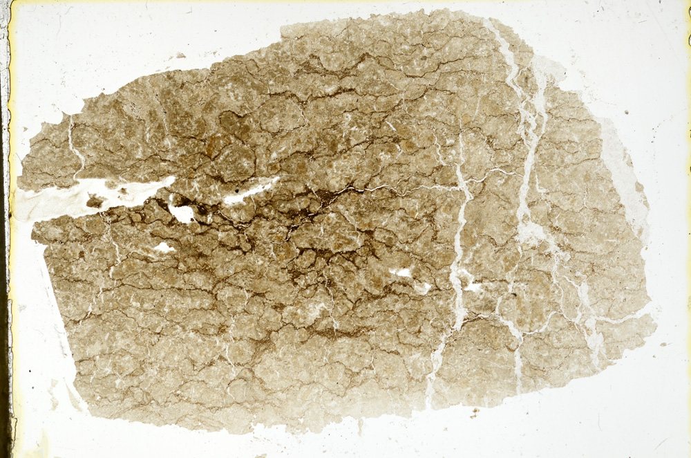 Plane Polarized, ED1790