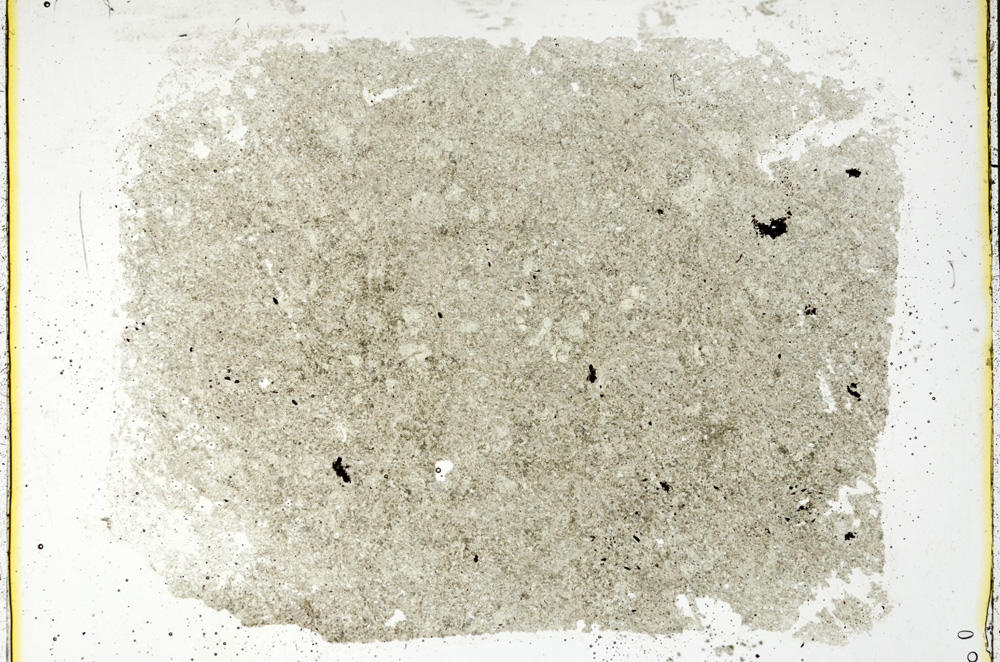 Plane Polarized, ED1816