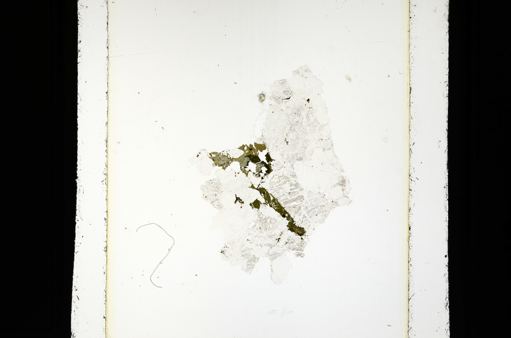 Plane Polarized, ED1948