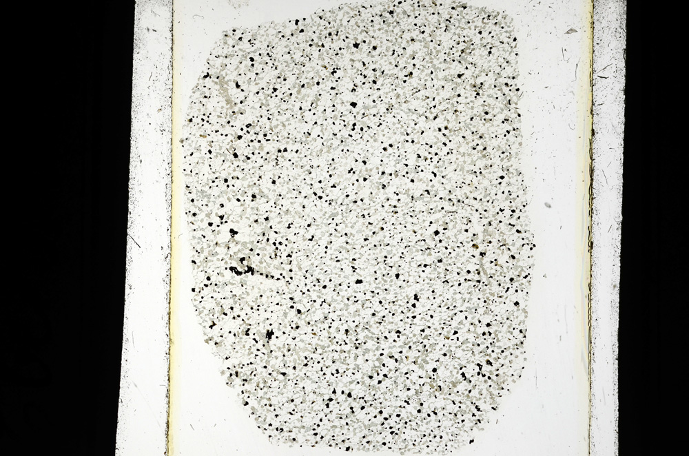 Plane Polarized, ED2002