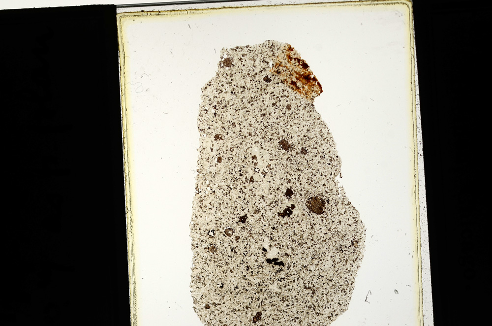 Plane Polarized, ED2101