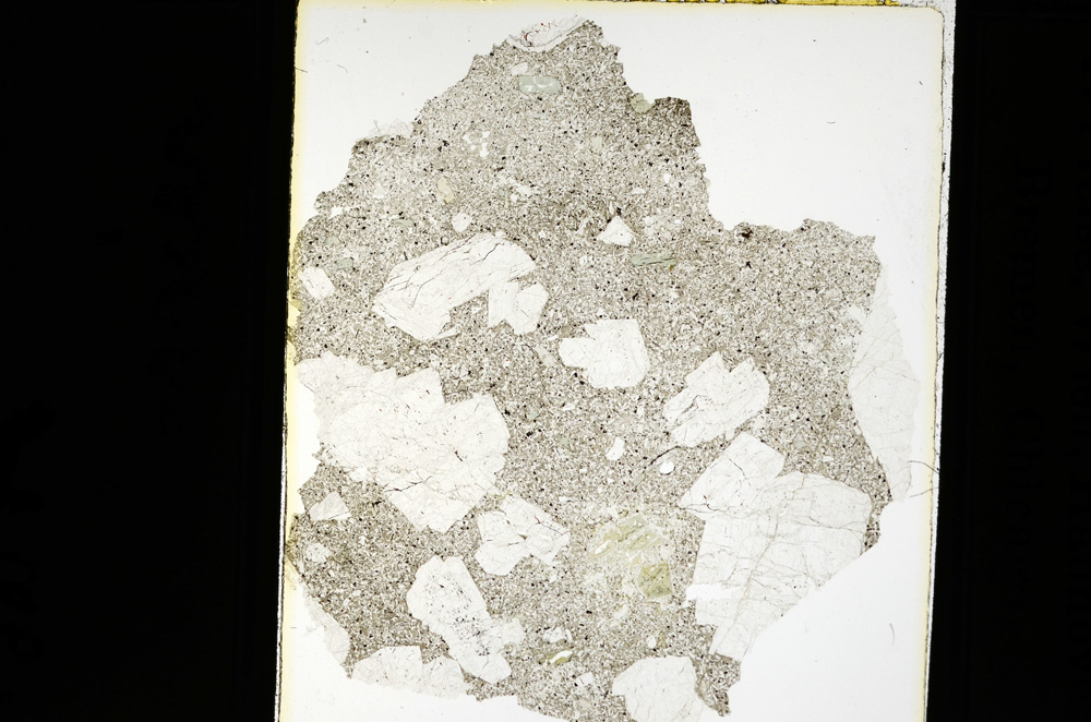 Plane Polarized, ED2164