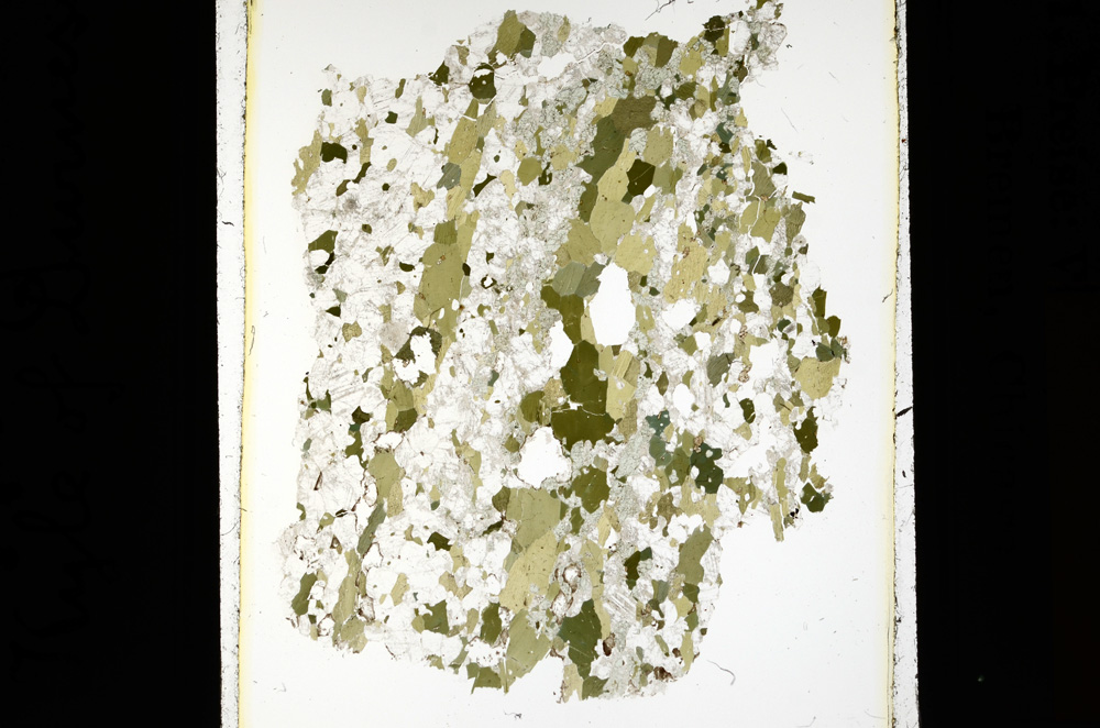 Plane Polarized, ED2195