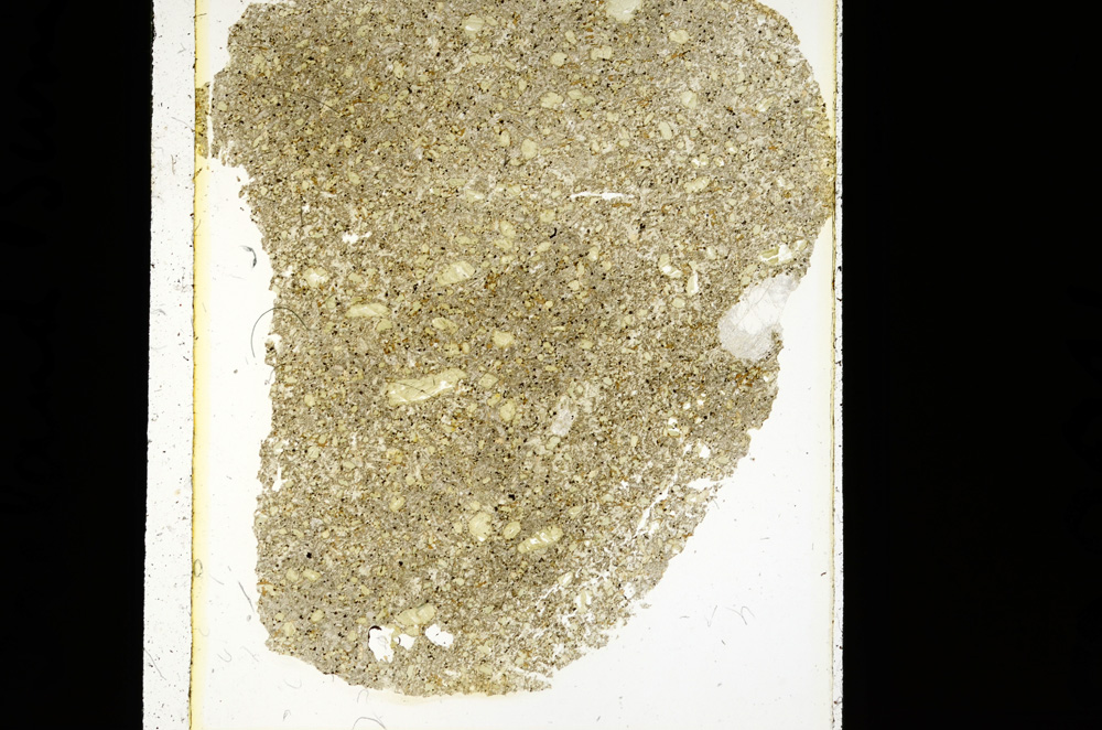 Plane Polarized, ED2241