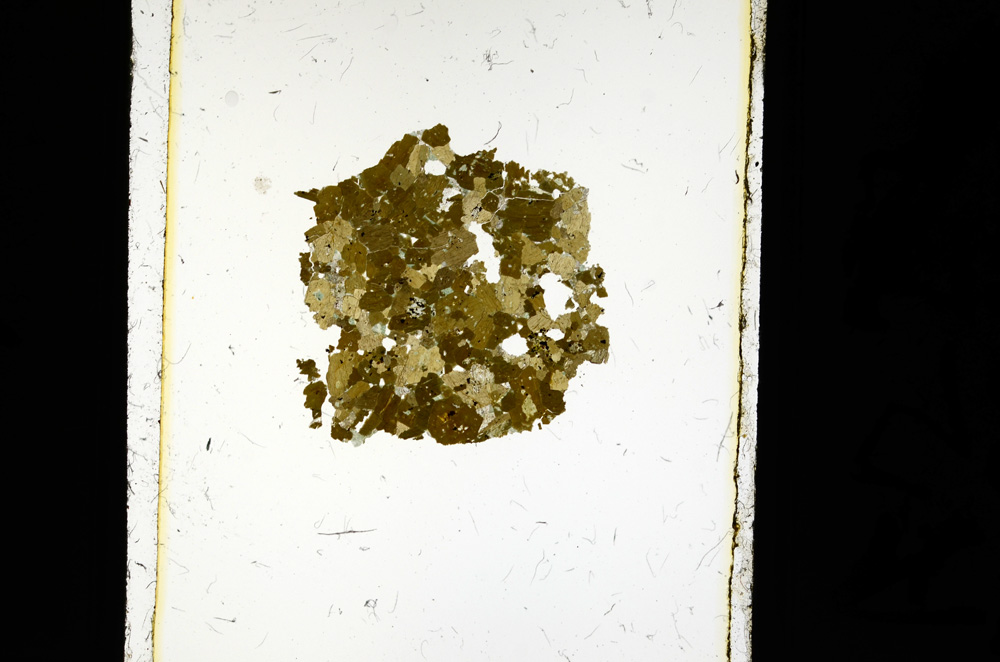 Plane Polarized, ED2256