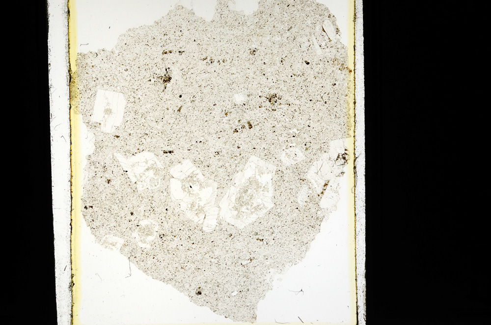 Plane Polarized, ED2260